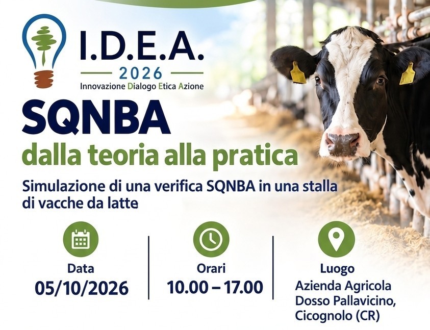 SQNBA: dalla teoria alla pratica